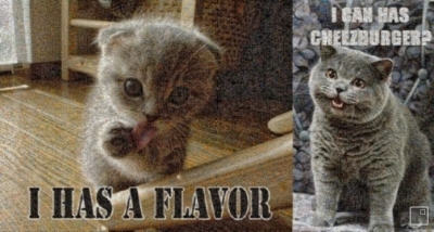 Click to Get Microsoft Silverlight and see the kittehs (it is ok, srsly)