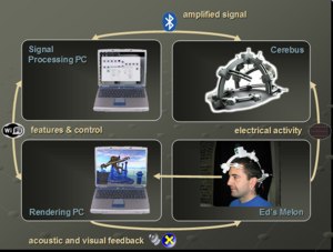 The Mind Balance feedback loop (click to enlarge).
